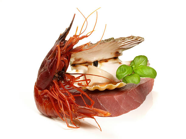 Prawn - Shrimp Carabinero on white Background