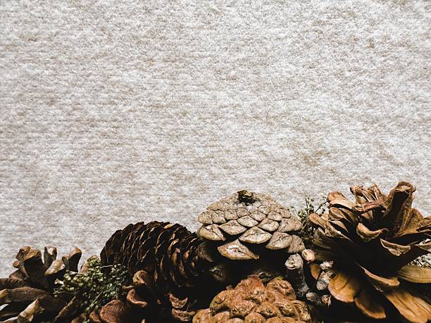 Earthy Christmas banner or website header with a cluster of pine cones on the bottom edge. Negative space for headline, sales offer, or promotional text.