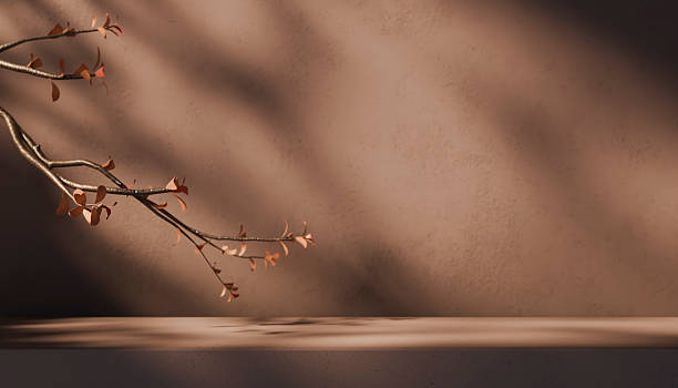 Minimal interior room with plant decor and sunlight shadow on brown wall. Autumn background for natural beauty and cosmetic product display mockup. Realistic 3d render