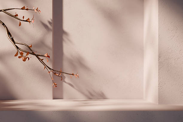 istock Minimal interior room with plant decor and sunlight shadow on wall. Autumn background for natural beauty and cosmetic product display mockup. Realistic 3d render 2237311422