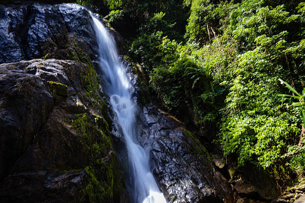 istock Waterfall in deep tropical rainforest with green rainy tree nature landscape 2237313431