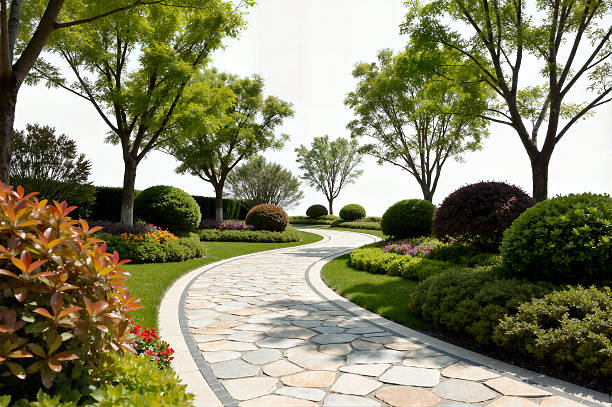 istock Curved Garden Pathway Isolated on White Background 2237316530