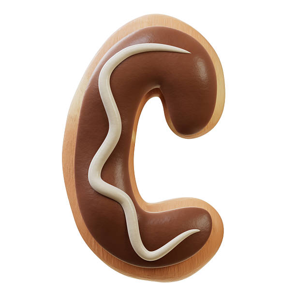 istock 3D Font.Biscuit Donut Font Concept. 2237328242