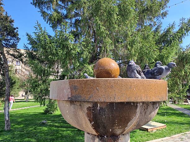 city fountain bowl and pigeons
