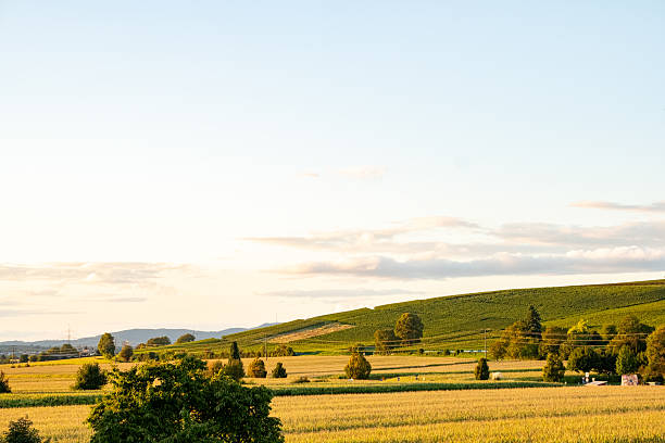 istock Panorama view of Batzenberg shot from Ehrenkirchen 2237332489