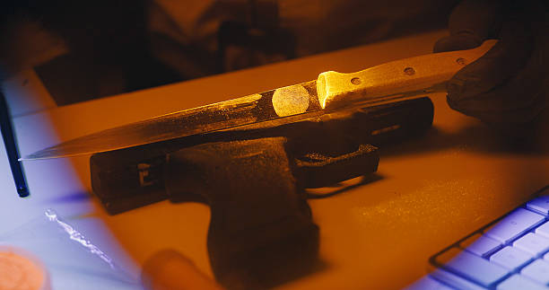 Person, detective and knife for evidence in office with forensic analysis, fingerprint and identity. Police, weapon and DNA testing for suspect proof, homicide investigation and lead with murder case Person, detective and knife for evidence in office with forensic analysis, fingerprint and identity. Police, weapon and dna testing for suspect proof, homicide investigation and lead with murder case evidence-bag-forensic-science-bag-label stock pictures, royalty-free photos & images