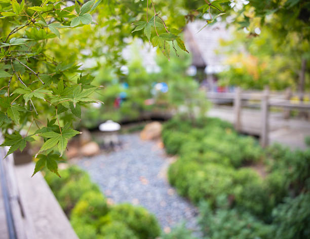 istock Nature, Wild Life, Buildings, and Garden 2237337710