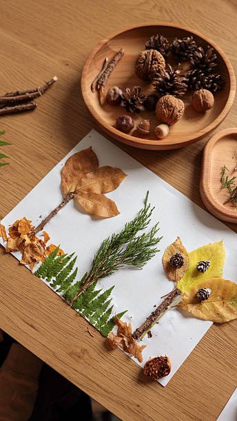 Autumnal art project featuring natural elements on a wooden table.