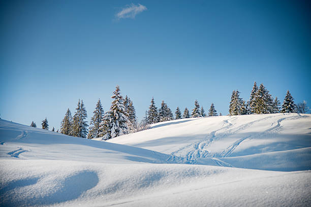 istock Snow Covered Mountain Landscape With Ski Tracks 2237342486