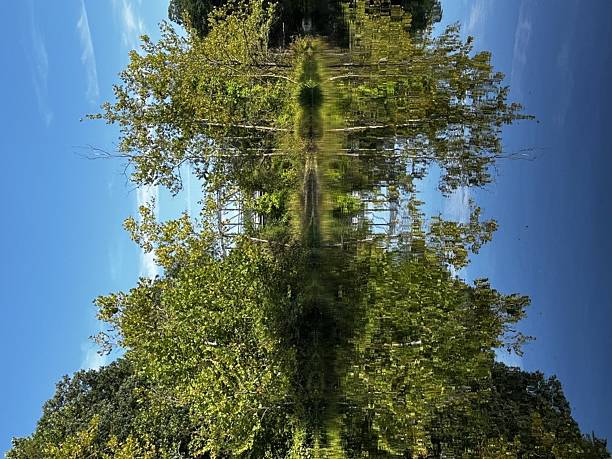 Rotated view of river coastline and its reflection on still water.
