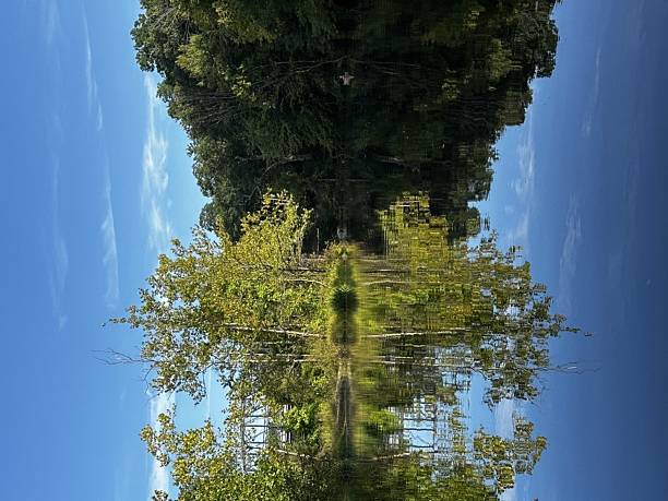 Rotated view of river coastline and its reflection on still water.