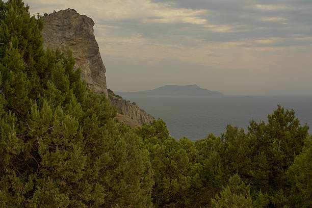 Aerial view of high rocky sea coast