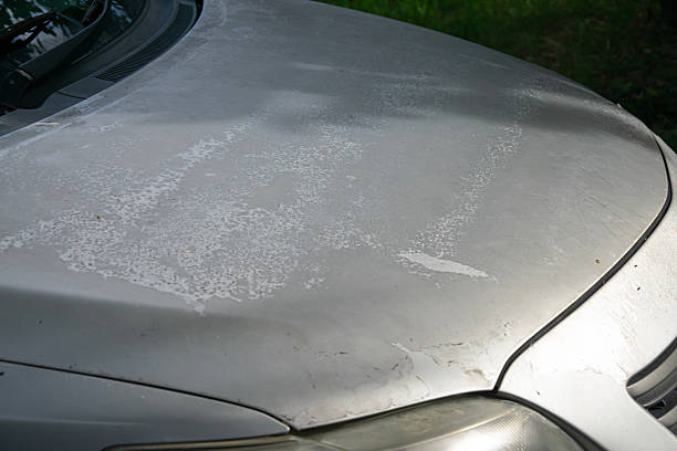 istock The car hood has peeling paint. 2237357267