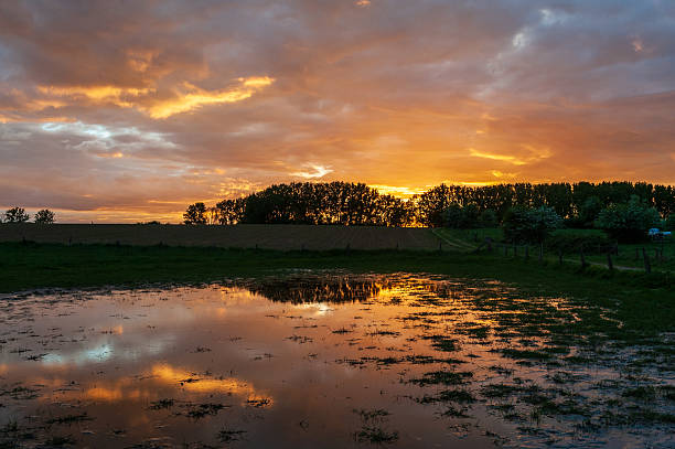 istock Nature in East Flanders 2237367954