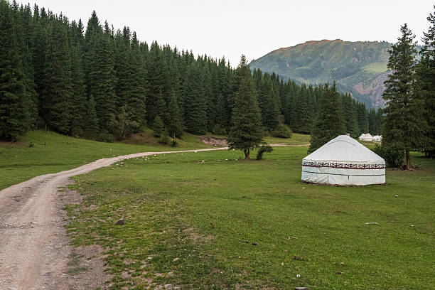 istock At the ecotrek Yurt Camp 2237368068