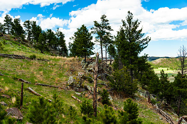 Breathtaking scenery of the Wind Cave National Park, South Dakota