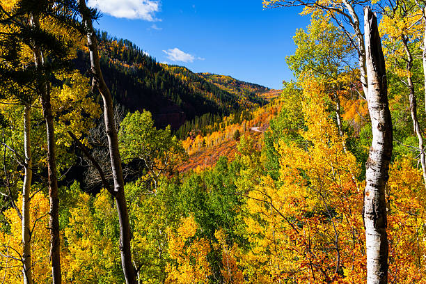 Mountain Range in the vicinity of Sundance, Utah