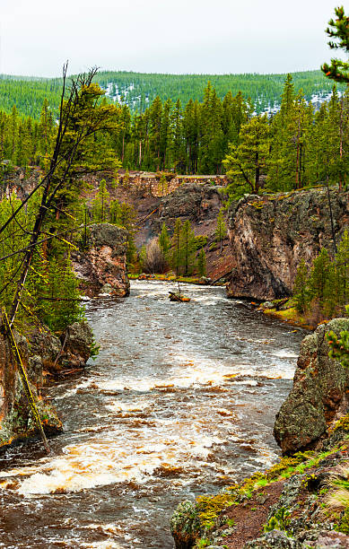 istock Yellowstone National Park 2237382289