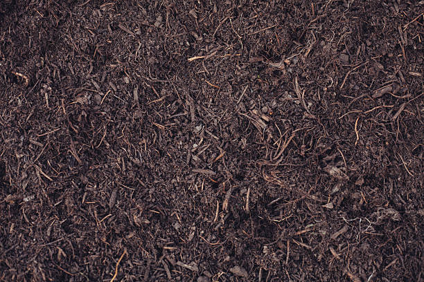 istock Natural earthy background with loose soil and visible plant roots 2237386055