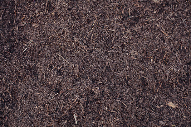 istock Natural earthy background with loose soil and visible plant roots 2237386057