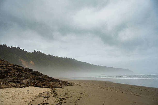 istock Mist Covers The Coastline Of Cape Lookout 2237386149