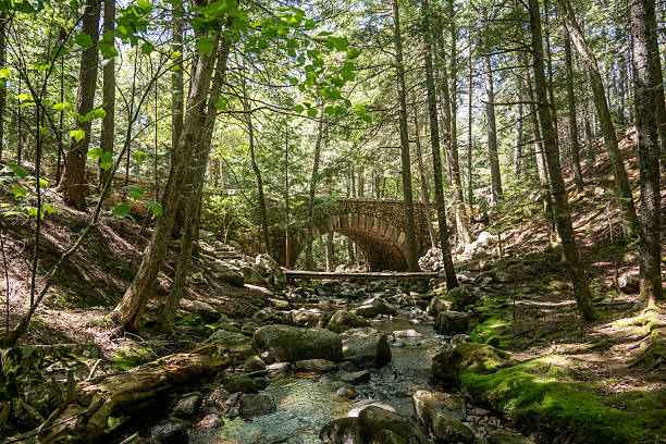 istock Creek Passing Through Cobblestone Bridge In Acadia 2237386640
