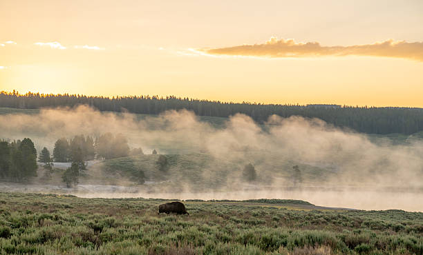 istock Fog Wafts Through Small Hills along the Yellowstone River 2237386649
