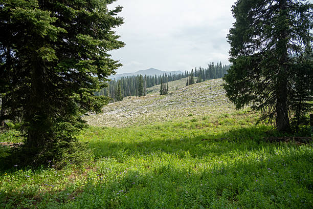 istock Forellen Peak Trail Looking Out Toward Moose Basin Divide 2237386694