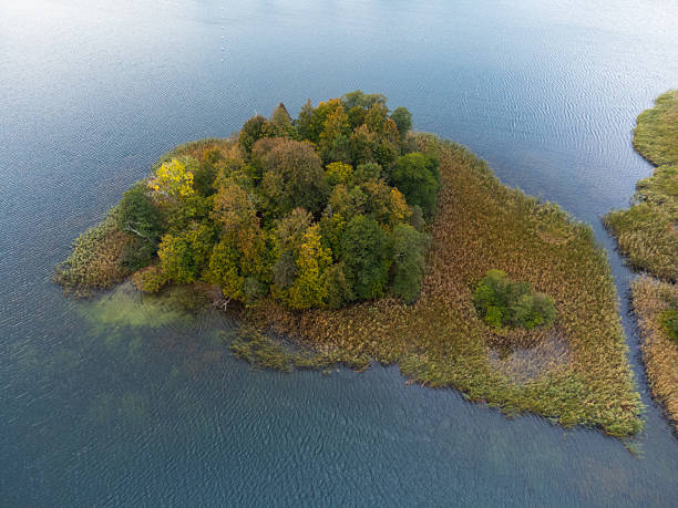 istock Aerial View of Small Island with Trees 2237386875
