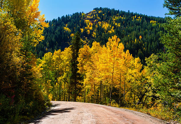 istock Dirt Road and Mountains in Fall 2237389735