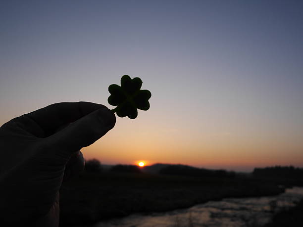 istock Hand holding a clover leaf in front of a sunset 2237392507