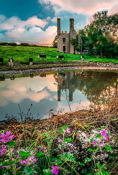 istock Midleton, in County Cork in Ireland 2237396606