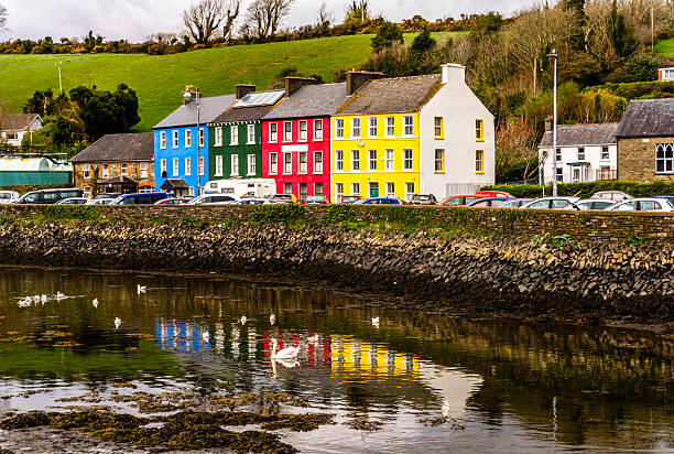 A Swan, going past Bantry town square. County Cork. Ireland