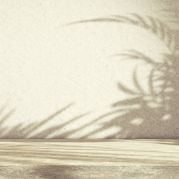 istock Background for organic and natural cosmetics product presentation. 2237406541