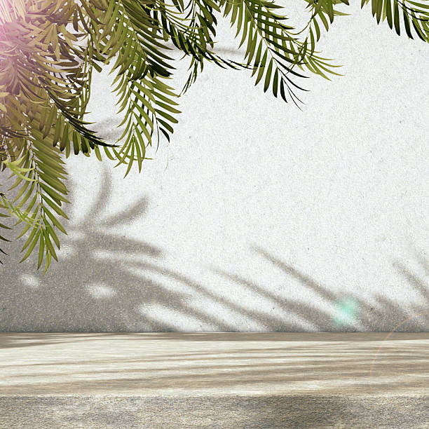 istock Background for organic and natural cosmetics product presentation. 2237406675