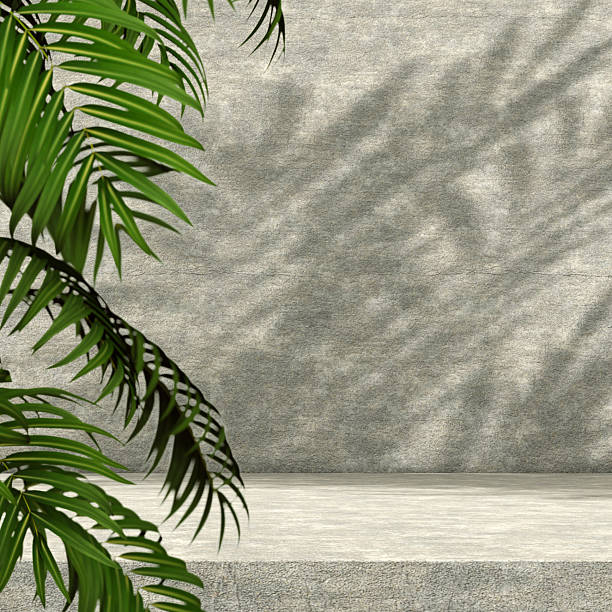 istock Background for organic and natural cosmetics product presentation. 2237406680
