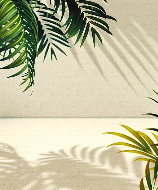 istock Background for organic and natural cosmetics product presentation. 2237406685