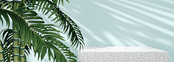 istock Background for organic and natural cosmetics product presentation. 2237406706