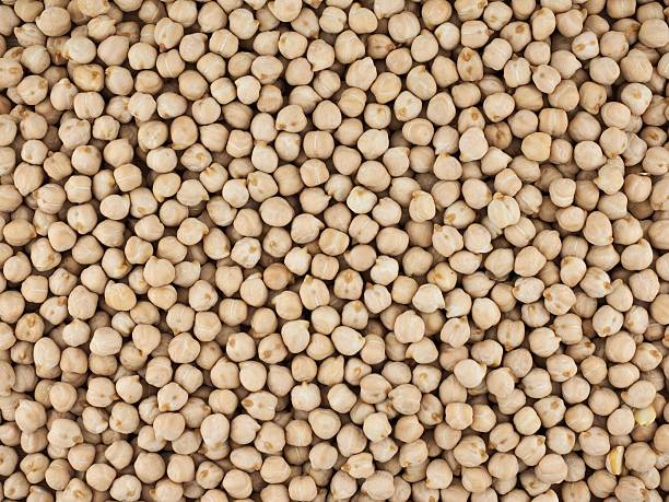 istock fresh organic beans, Cicer arietinum 2237406901
