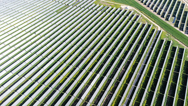 istock Solar panels capturing sunlight in large solar farm, renewable energy concept 2237411076