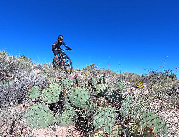 istock Mountain Biking New Mexico 2237431688