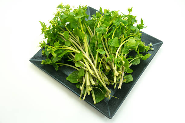 Flower wasabi on a plate