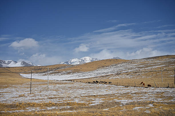 istock Scenic View of a Grassland Under Snow-Capped Mountains 2237441787