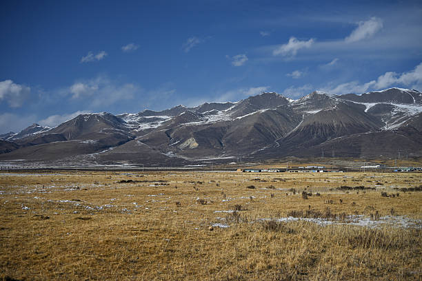 Scenic View of a Grassland Under Snow-Capped Mountains