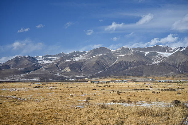 Scenic View of Grassland under Snow-Capped Mountains