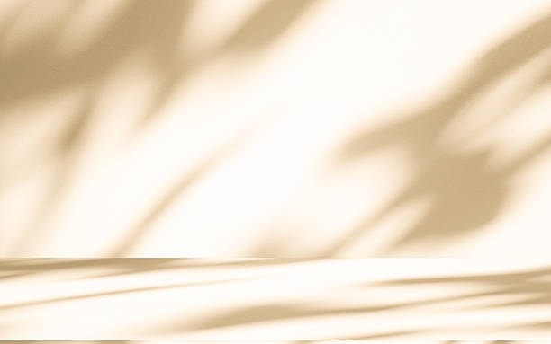 istock Studio style background wall decoration presentation uses white and beige tones. with shadows cast from a nearby window, concept creating a decorative 2237443544