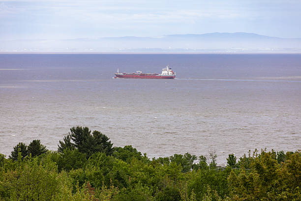 A red cargo ship moves calmly over blue water, with a green, tree-filled shoreline in the foreground and distant mountains on the horizon, creating a peaceful maritime landscape.