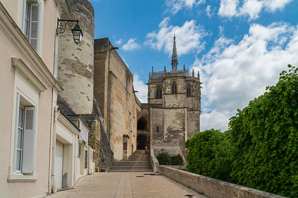 le château d’amboise et la chapelle saint-hubert depuis la rue de la montée de l’emir abdel-kader par une journée ensoleillée d’été, amboise, indre-et-loire, france - château damboise photos et images de collection