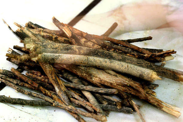 istock Dry Herbal Sticks Used in Ayurvedic Medicine 2237447615