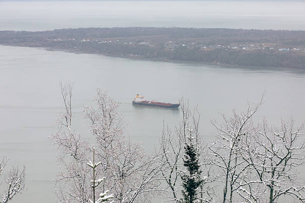 A calm winter riverscape features a cargo ship gliding along a wide river, distant houses on the far shore, and frosted trees in the foreground, creating a peaceful, chilly atmosphere.